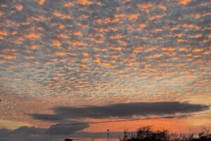 Chrissy’s Coastal Bend Adventures