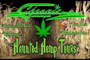 Chronic Carriages Cannabis Related Transportation