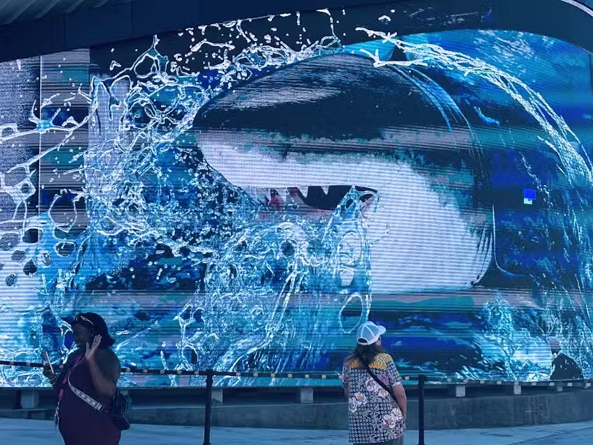 City Of Dreams Travel Agency