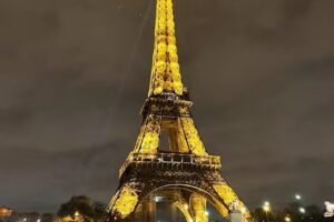 City of Lights Travel