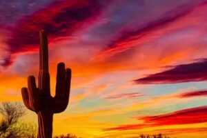 Civano Vacation Rentals