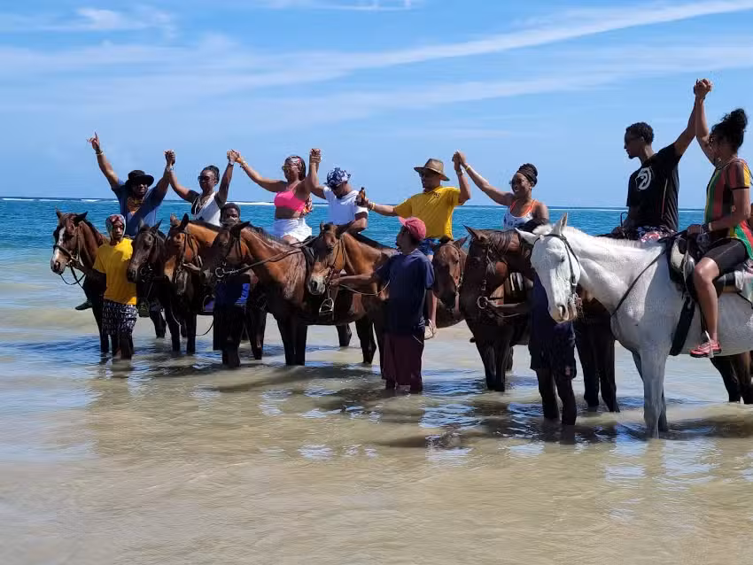 Classy Lynne Travels