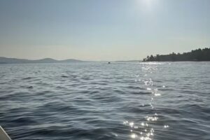 Clearwater Boat Charters