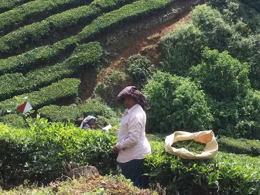 Climb Aboard, Travel and Soar