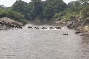 Clipper Travel & Tours Inc