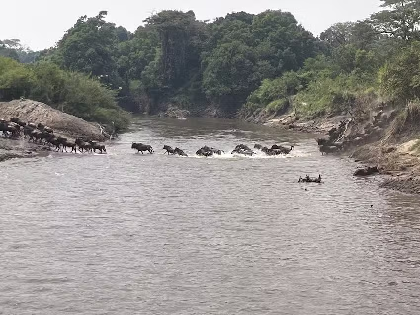 Clipper Travel & Tours Inc