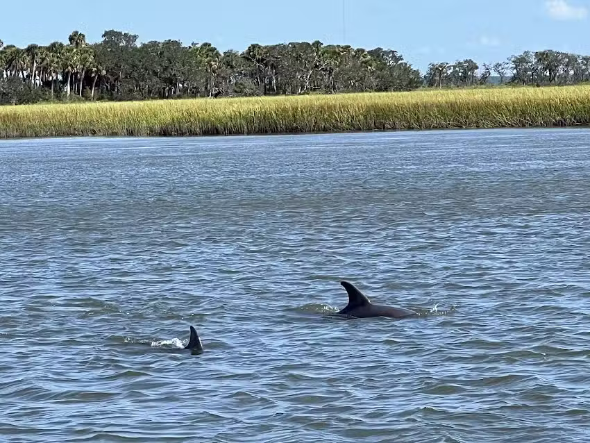 Coastal Expeditions at Downtown Beaufort