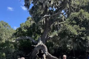 Coastal Expeditions at Kiawah River