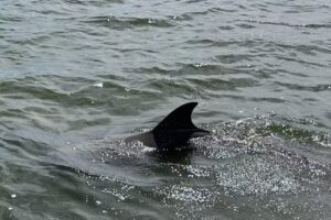 Coastal Lagoon Tours