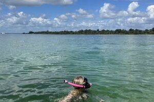 Coastal Wildlife Adventures