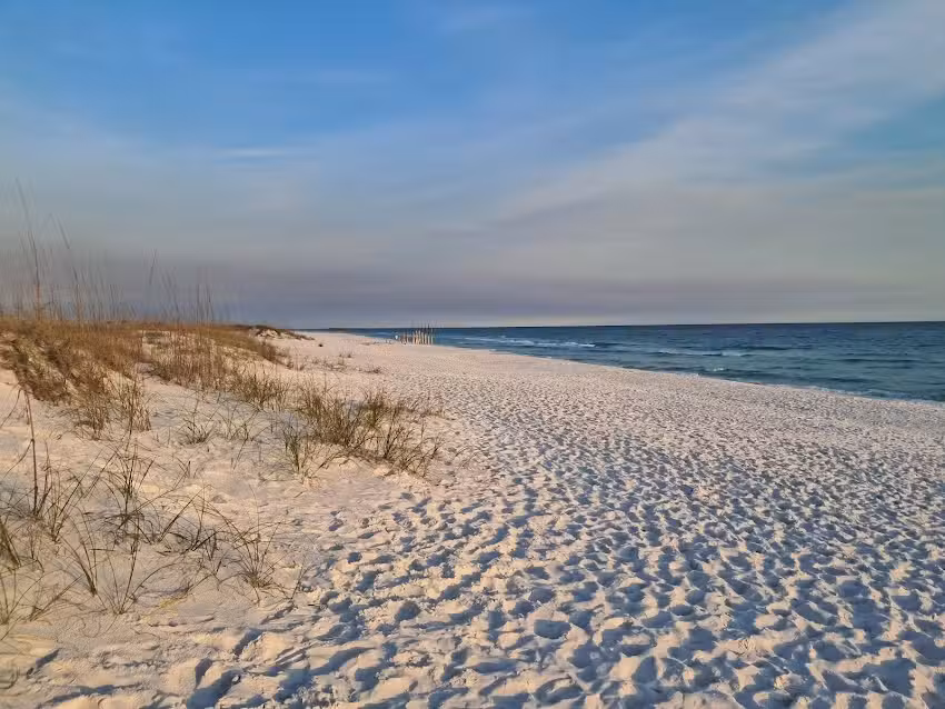 Coastal Wildlife Adventures