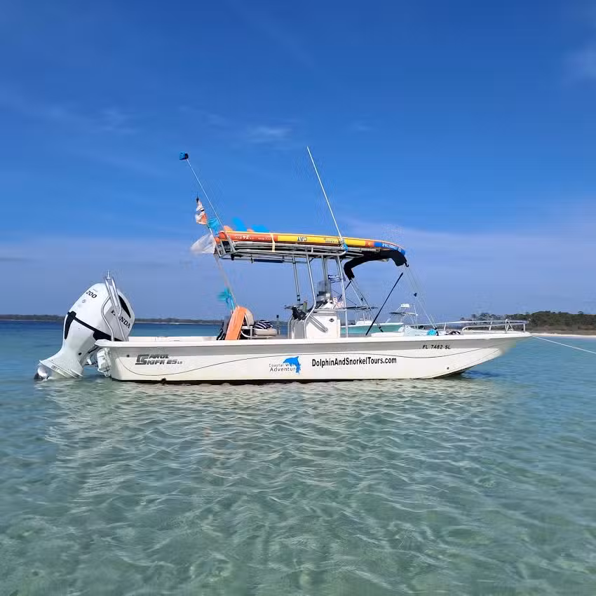 Coastal Wildlife Tours