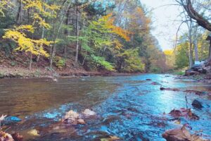 Coaster Creek Cottage