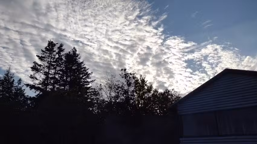 Cobscook Bay Cottages