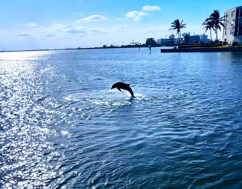 Cocoa Beach Catamaran