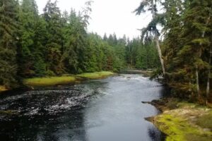 Coffman Cove Cabin Rental