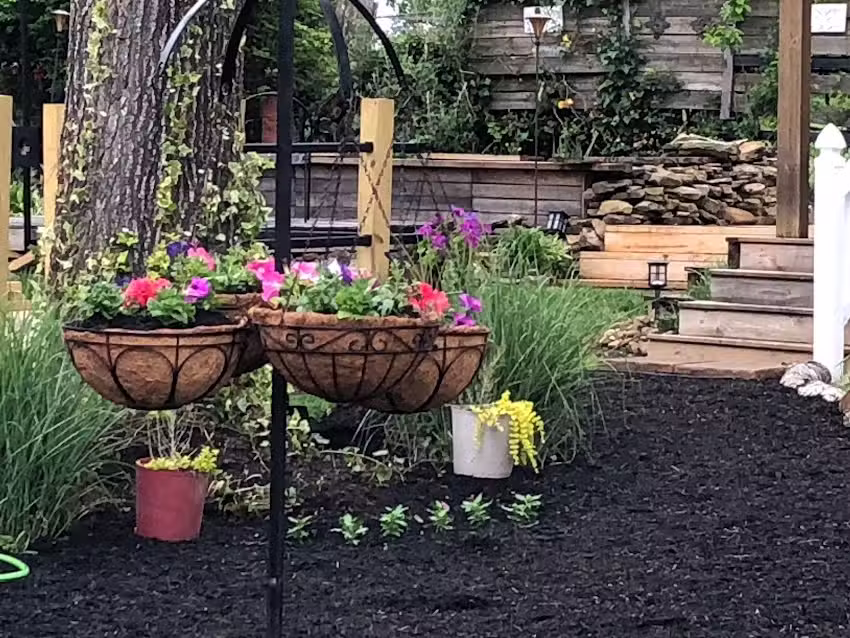 Cole’s Place Norris Lake