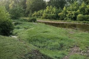 Collier Creek Cabins- Liberty, Caddo & Collier Cabins