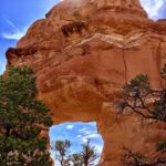 Colorado River & Trail Expeditions