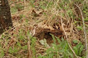 Columbia-Montour Visitors Bureau