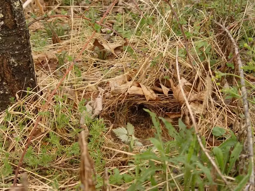 Columbia-Montour Visitors Bureau