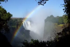 Concierge and VIP Travel