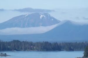 Concierge Travel Services