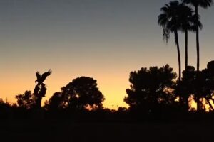 Concorde Travel Management