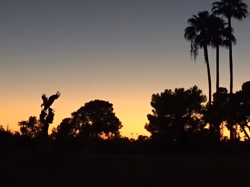 Concorde Travel Management