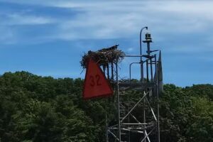 Connecticut River Cruise & Charter, LLC