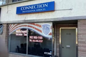 Connection Professional Services