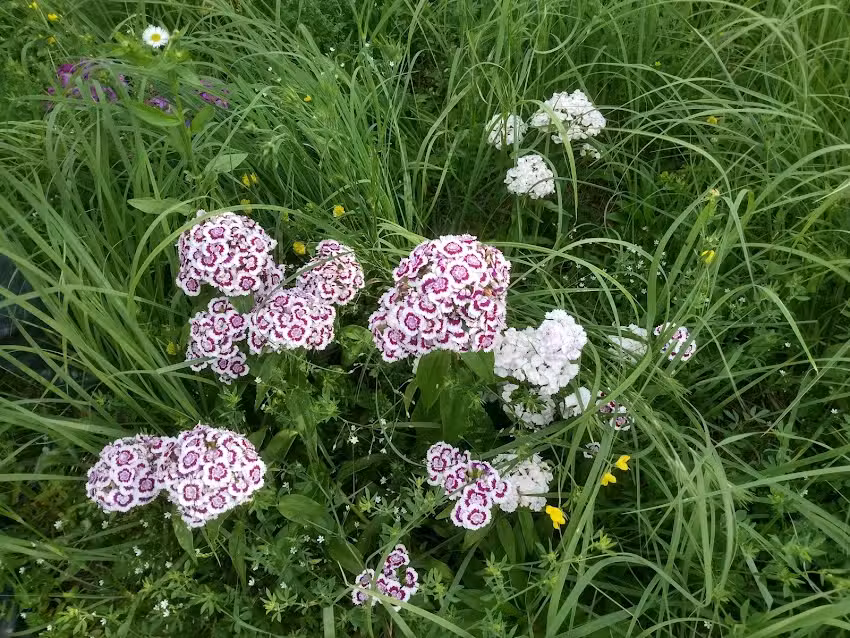 Contact Station & Park Office