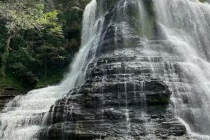 Cookeville-Putnam County Convention & Visitors Bureau