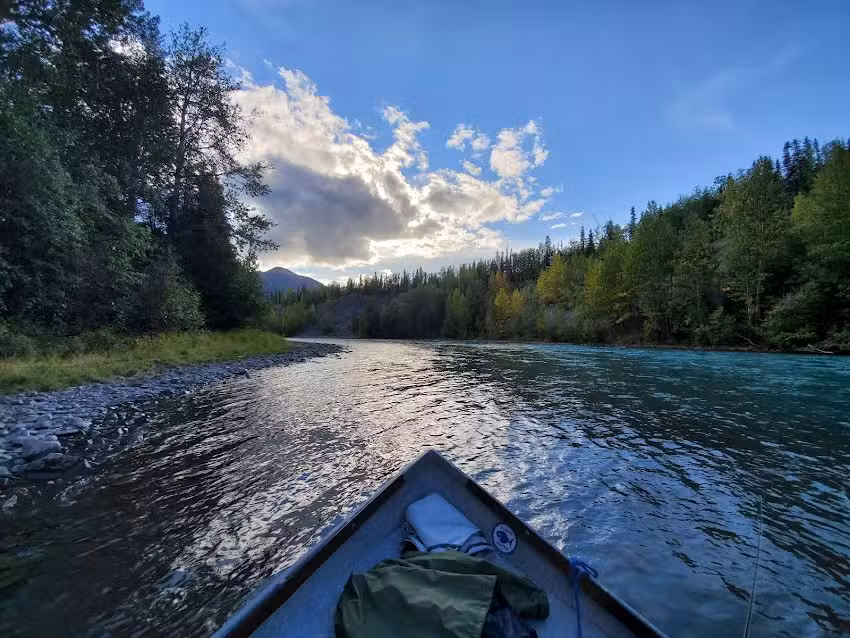 Cooper Landing Fishing Guide