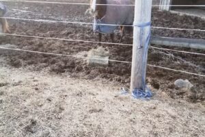 Cooperstown Equestrian Park Ltd