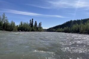 Copper River Salmon Charters