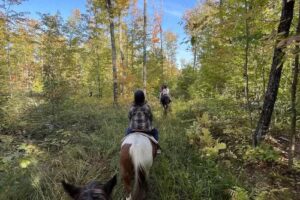 Coppler Farm Equine Services