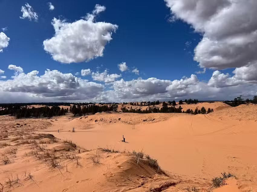 Coral Pink ATV Tours