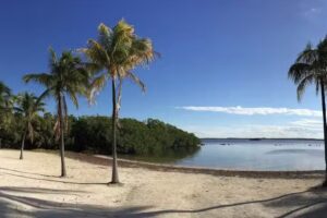 Coral Reef Park Co., Inc. Concession Services