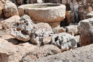 Coral Travel & Tours Ltd.