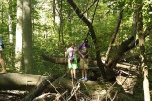 Corporate Travel Consultants