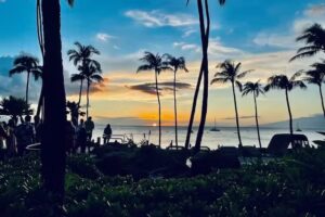 Cosmopolitan Experiences