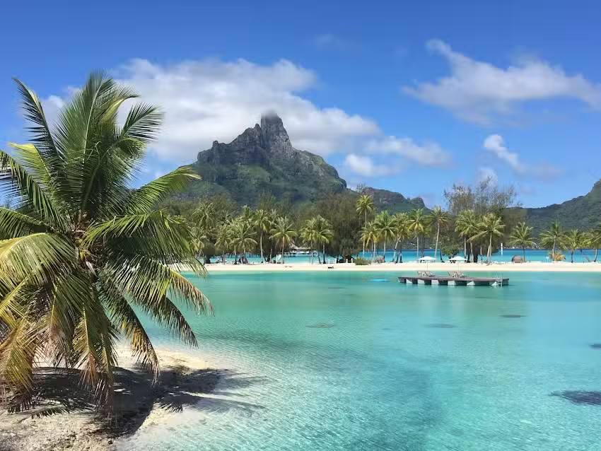 Cosmopolitan Travels