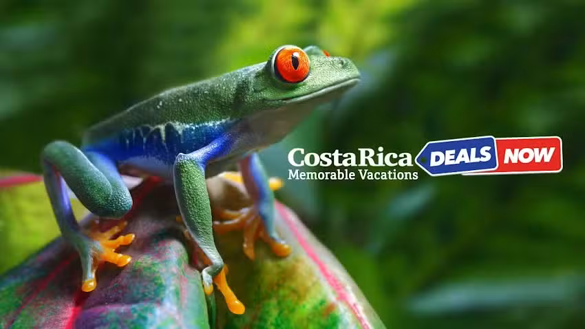 Costa Rica Deals Now