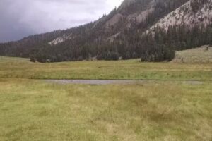 Cottonwood Meadow Ranch