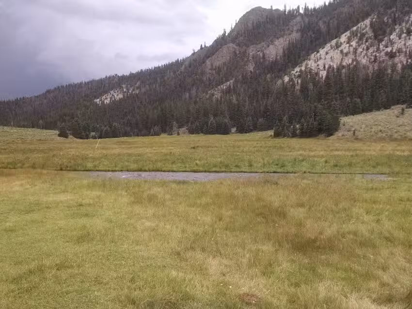 Cottonwood Meadow Ranch