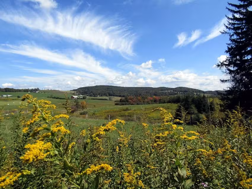 Country Charm &ndash; Near Deep Creek Lake