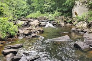 Country Store-Gifts and Information Center