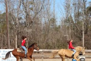 County Line Horse Trail Rides