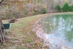 Couples Retreat by SIVR